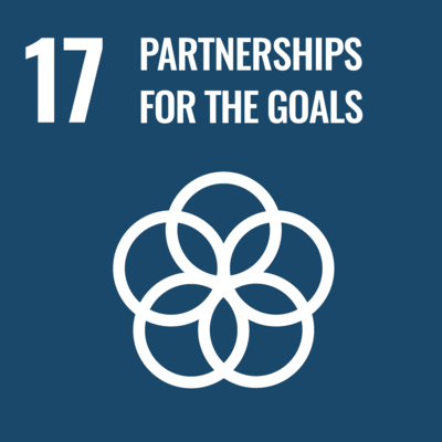 Link to SDG17